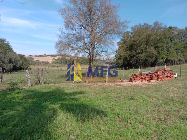 Fazenda para Venda em Riversul - 4