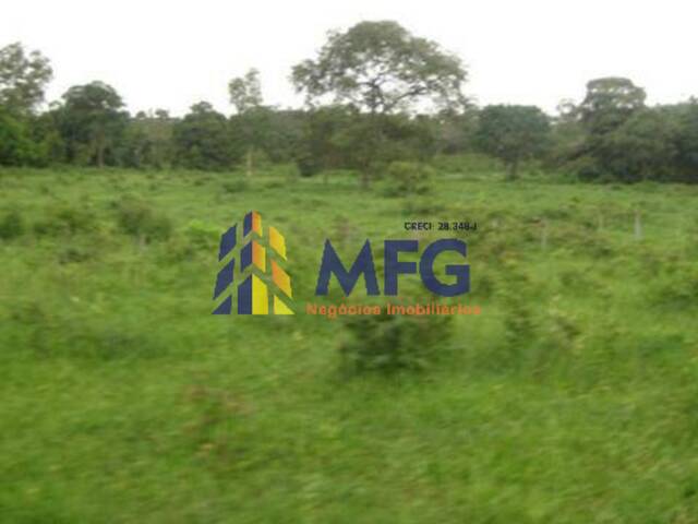 Fazenda para Venda em Alto Araguaia - 4