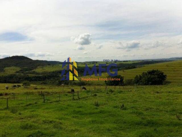 Fazenda para Venda em Echaporã - 2