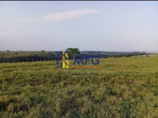 Fazenda para Venda em Echaporã - 3