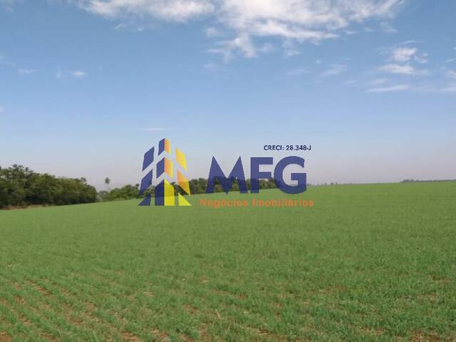 Fazenda para Venda em Itararé - 3