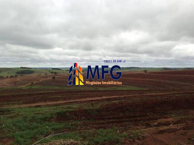 Fazenda para Venda em Itapetininga - 2