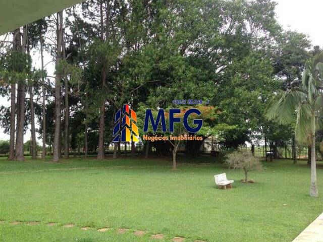 Fazenda para Venda em Itapetininga - 3