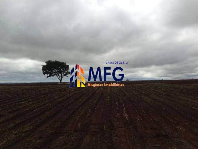 Fazenda para Venda em Itapetininga - 4