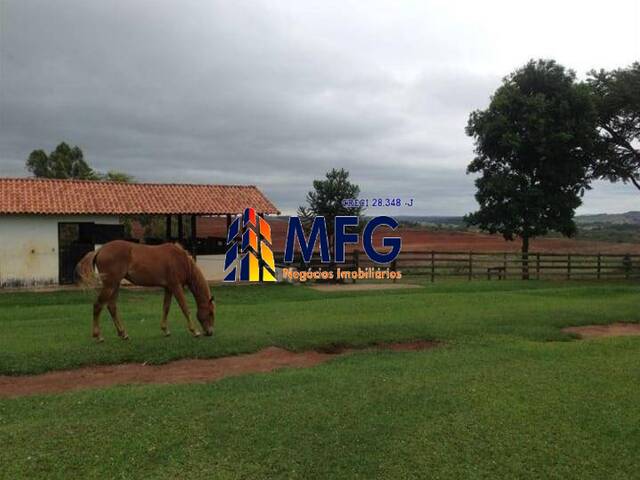 Fazenda para Venda em Itapetininga - 5
