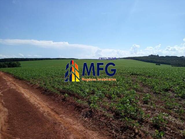 Fazenda para Venda em Itaberá - 3