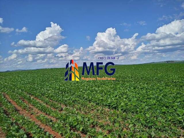 Fazenda para Venda em Itaberá - 5