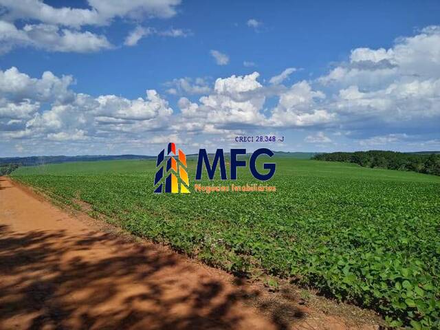 Venda em Zona Rural - Itaberá