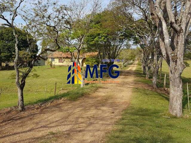 Fazenda para Venda em Quadra - 5