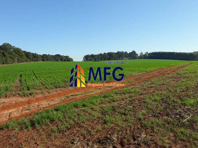 #7926 - Fazenda para Venda em Itaberá - SP - 2