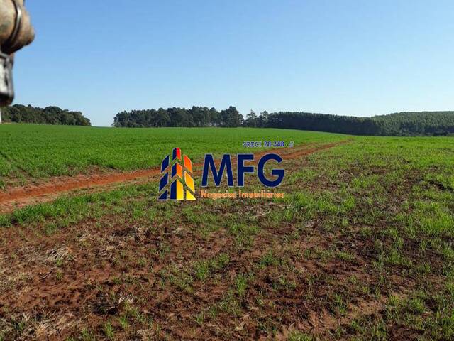 Fazenda para Venda em Itaberá - 4