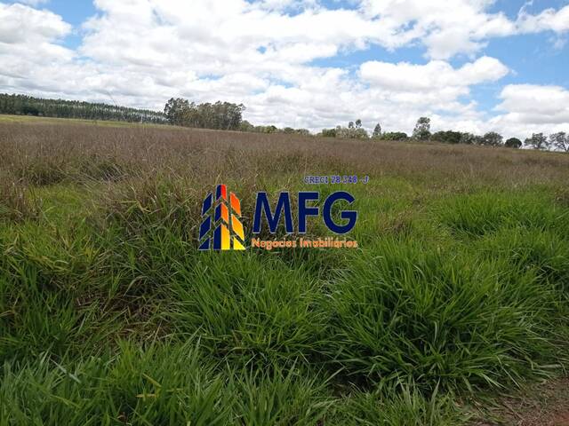 Fazenda para Venda em Paranapanema - 2