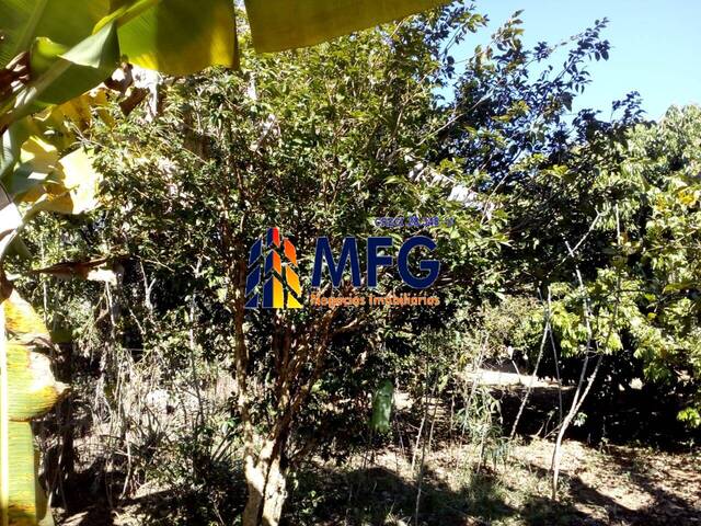 Chácara para Venda em Araçoiaba da Serra - 4