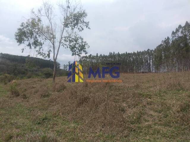 Chácara para Venda em Capela do Alto - 2