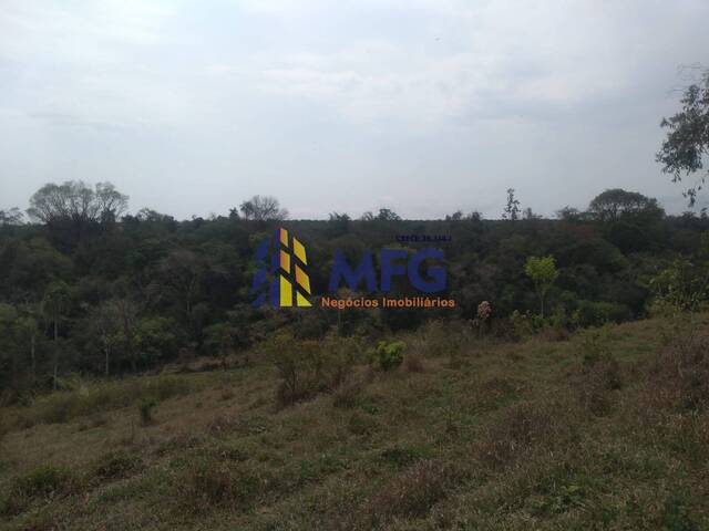 Chácara para Venda em Capela do Alto - 4