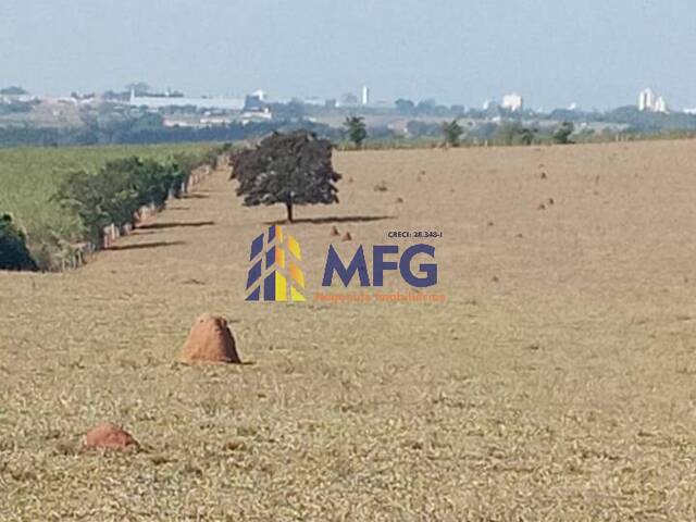 Sítio para Venda em Tatuí - 2