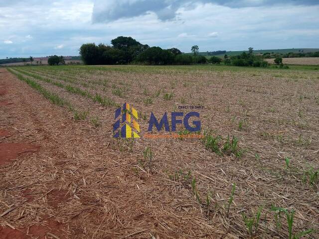 Sítio para Venda em Tatuí - 4