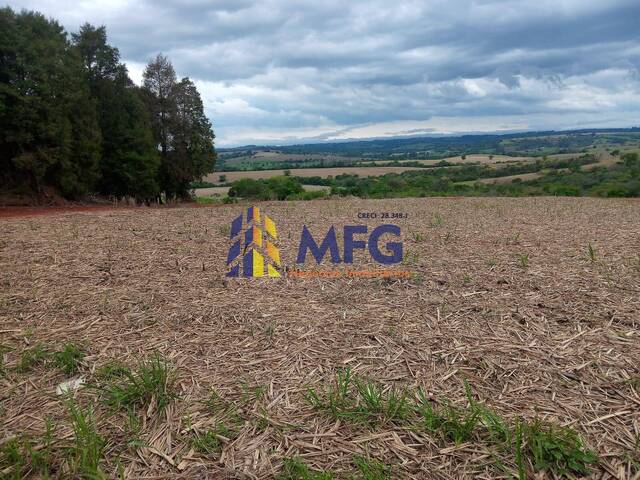 Venda em Área Rural de Tatuí - Tatuí