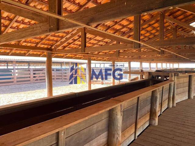 Fazenda para Venda em Santa Cruz das Palmeiras - 4