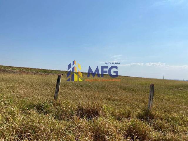 Fazenda para Venda em Santa Cruz das Palmeiras - 5