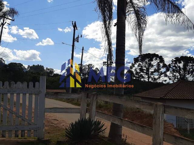 Chácara para Venda em Pedra Bela - 4