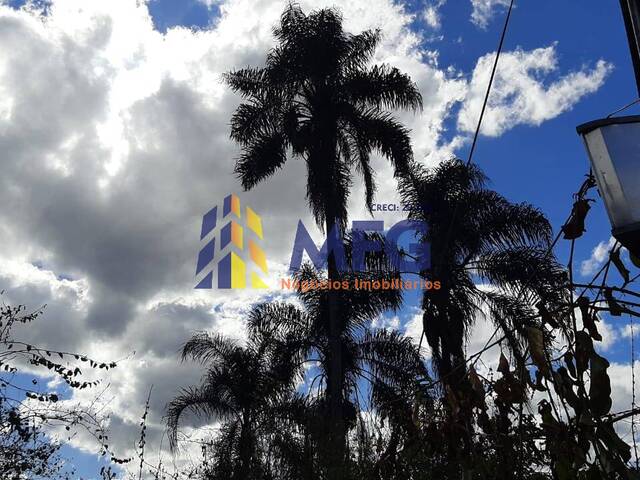 Chácara para Venda em Pedra Bela - 5