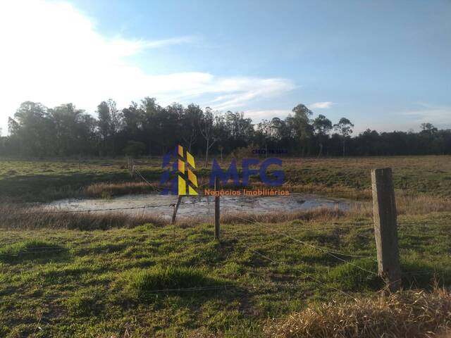 Sítio para Venda em Capela do Alto - 2