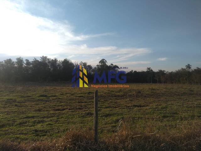 Sítio para Venda em Capela do Alto - 3