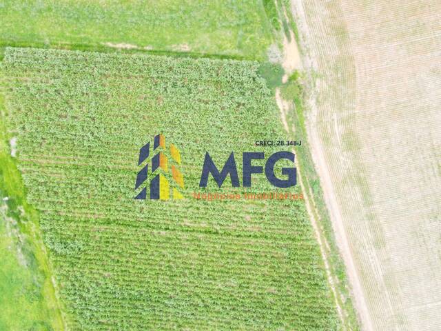 Sítio para Venda em Capela do Alto - 4