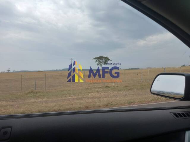 #9306 - Fazenda para Venda em Duartina - SP - 3