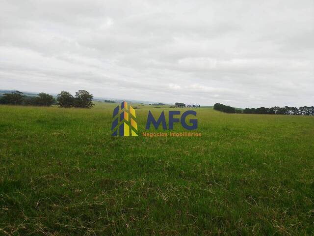 #9434 - Fazenda para Venda em Riversul - SP - 2