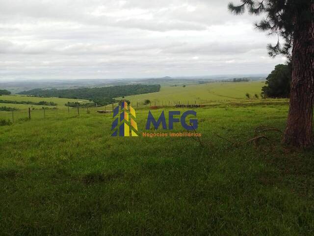 #9434 - Fazenda para Venda em Riversul - SP - 3