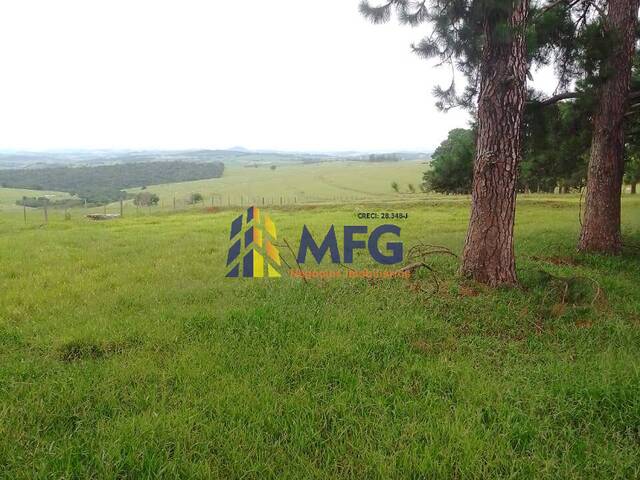 Fazenda para Venda em Riversul - 5