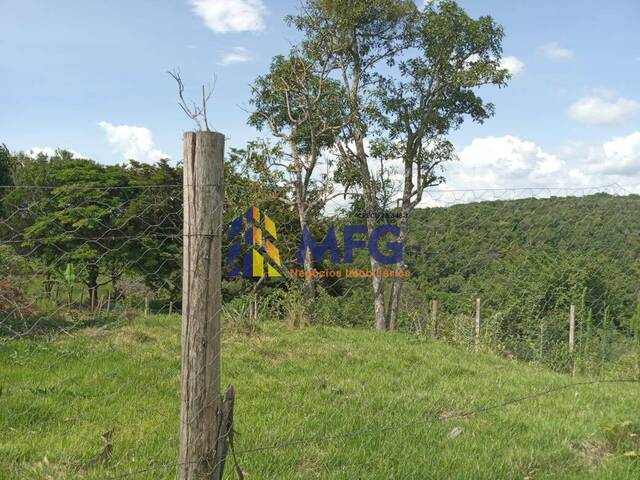 Fazenda para Venda em Pilar do Sul - 3