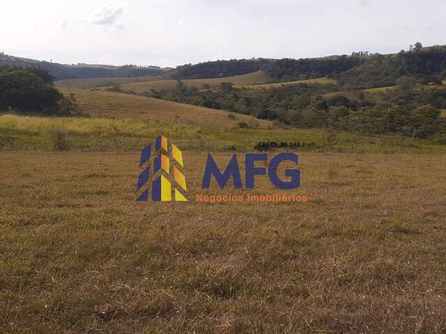 #9893 - Fazenda para Venda em Euclides da Cunha Paulista - SP - 3