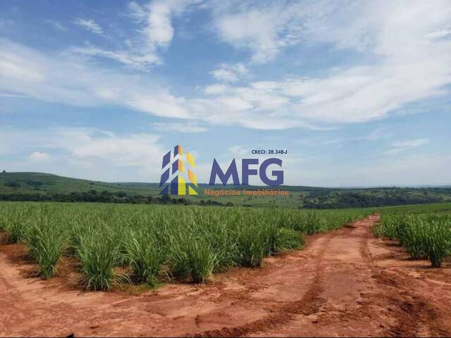 #9986 - Fazenda para Venda em São Manuel - SP - 3