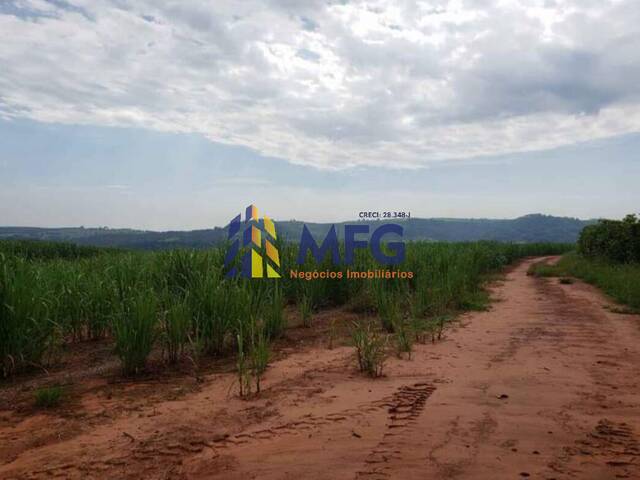 #9986 - Fazenda para Venda em São Manuel - SP - 2