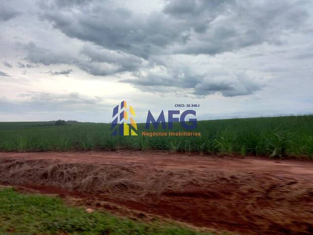 Fazenda para Venda em São Manuel - 4