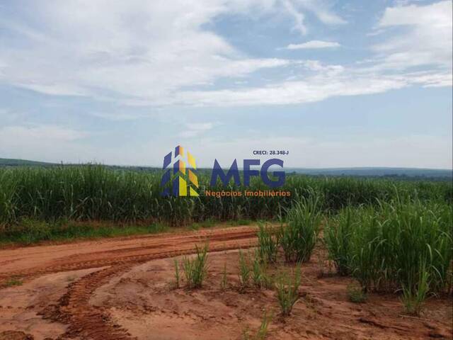 Fazenda para Venda em São Manuel - 5