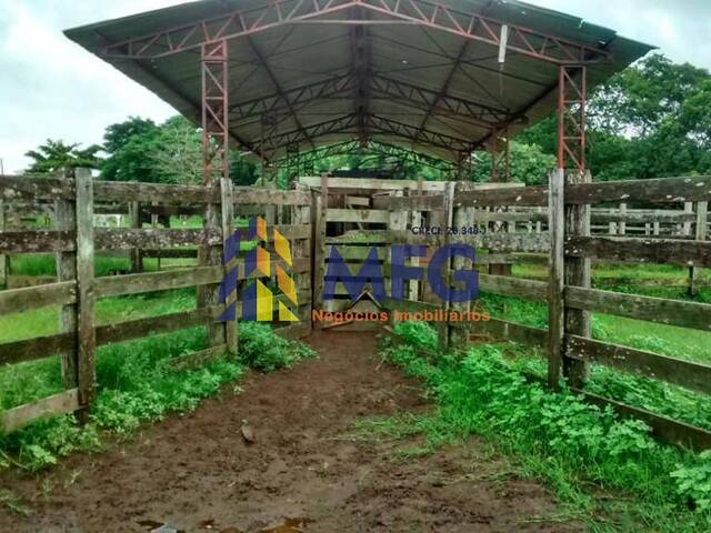 Fazenda para Venda em Teodoro Sampaio - 2