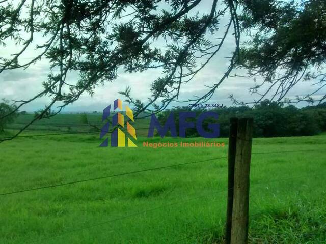 Fazenda para Venda em Teodoro Sampaio - 3