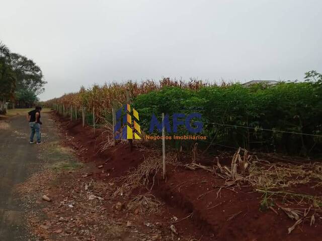 Chácara para Venda em Barão de Antonina - 3