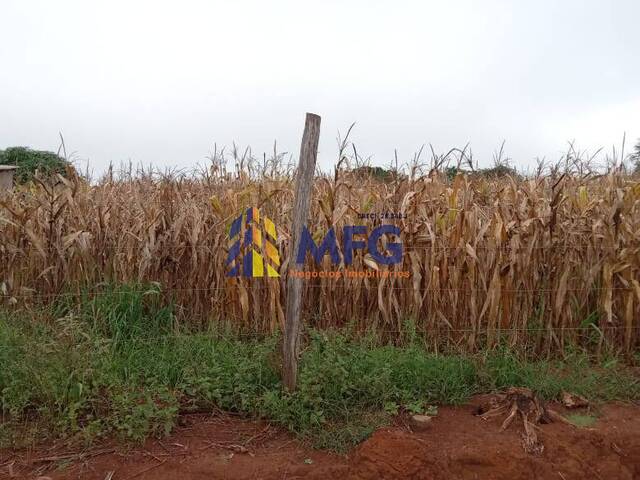 Chácara para Venda em Barão de Antonina - 4