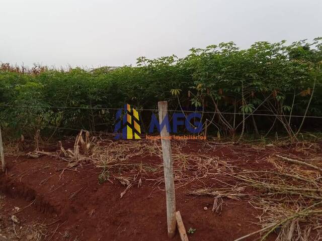 Chácara para Venda em Barão de Antonina - 5