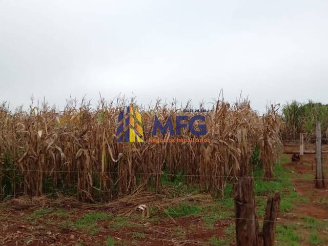 Chácara para Venda em Barão de Antonina - 2