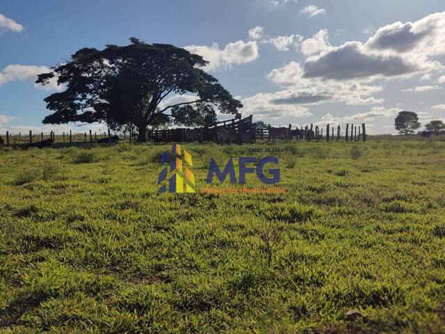 Fazenda para Venda em Santa Adélia - 3