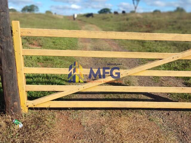 Fazenda para Venda em Santa Adélia - 5