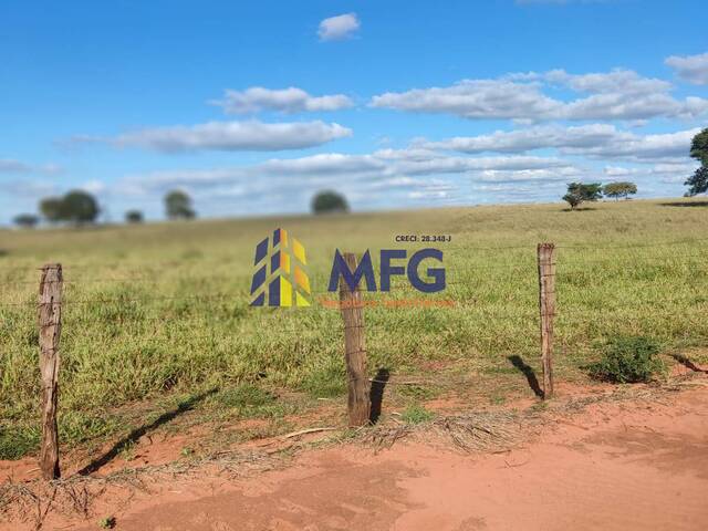 Fazenda para Venda em Santa Adélia - 4