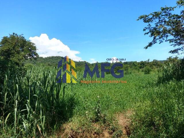 #10731 - Fazenda para Venda em Sete Barras - SP - 2