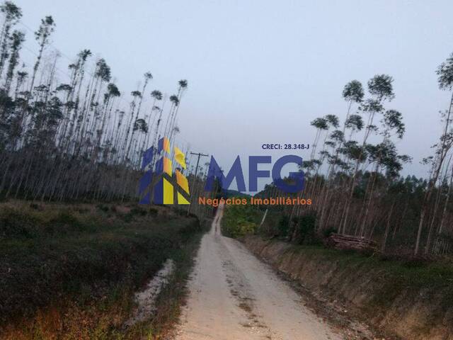 #10731 - Fazenda para Venda em Sete Barras - SP - 3